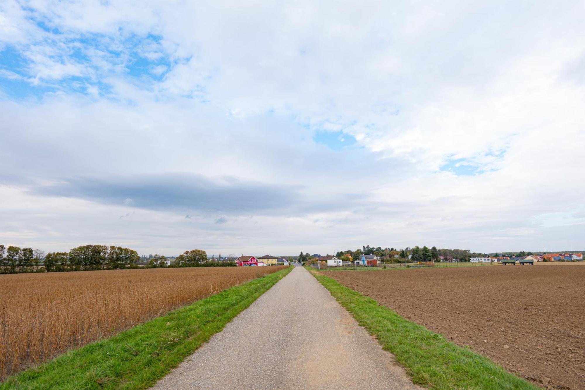 Villa Rose Close To Vienna & Airport Maria Ellend Экстерьер фото